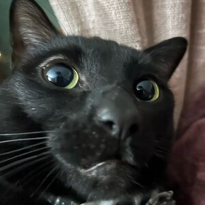 Meet your Posher, Shawn